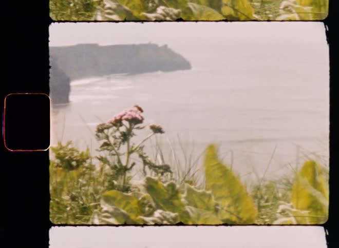 A flowery meadow with the ocean and mountains in the background
