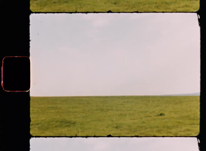 View of a lawn in the middle of nature with a cloudy sky