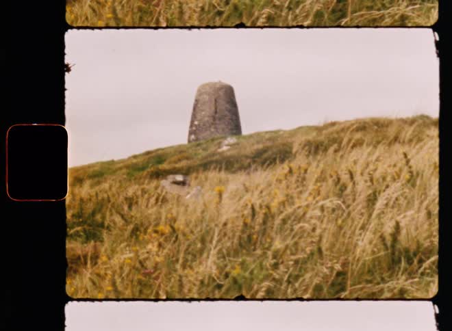 A landscape view of a grassland