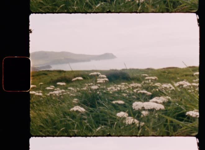 Panorama of the sea coast in a cloudy sky