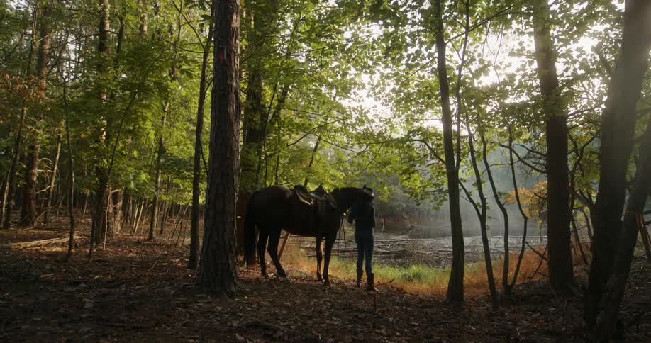 A lady with a horse standing close to a river bank in the woods