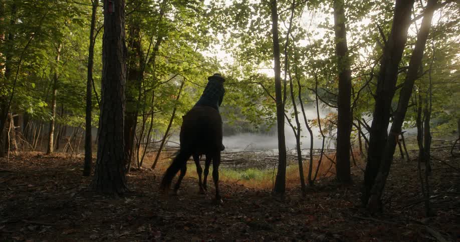 A woman dressed in a cowboy hat plaid shirt and jeans dismounts from a horse in the midst of a forest