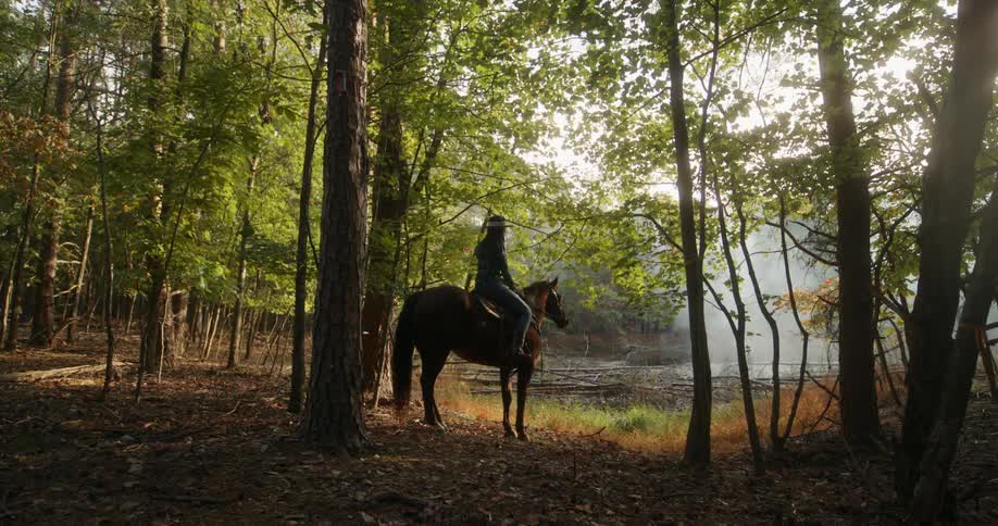 Woman on horseback in a forest with sunlight and autumn leaves near a mistcovered lake