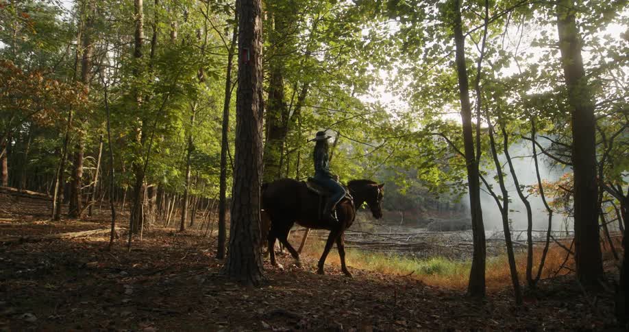 Woman wearing a hat riding a horse in a forest near a lake during the day