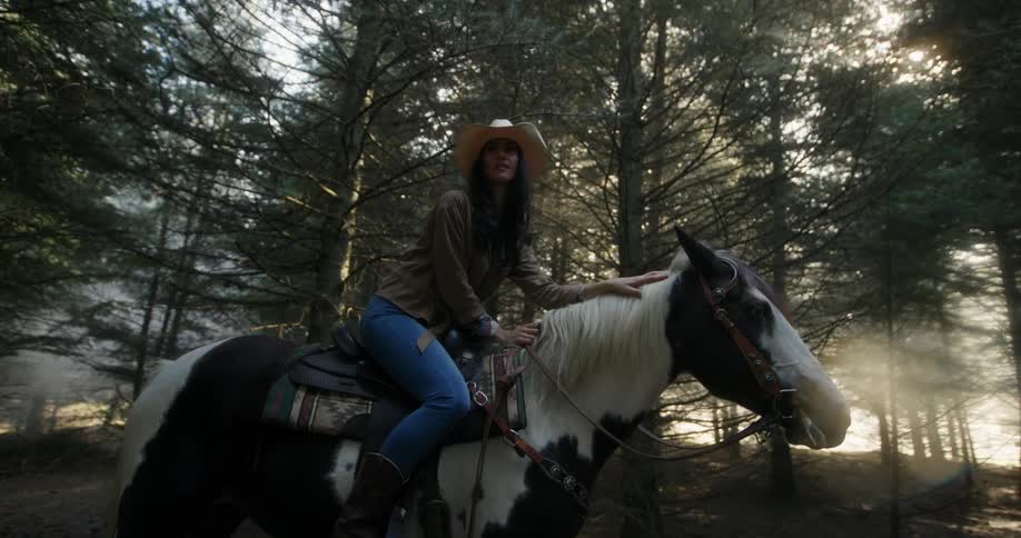 A woman is sitting on a horse in a woodland area in the morning