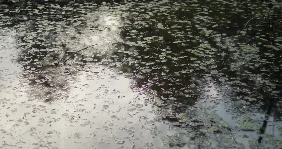 A still clip of a frozen river