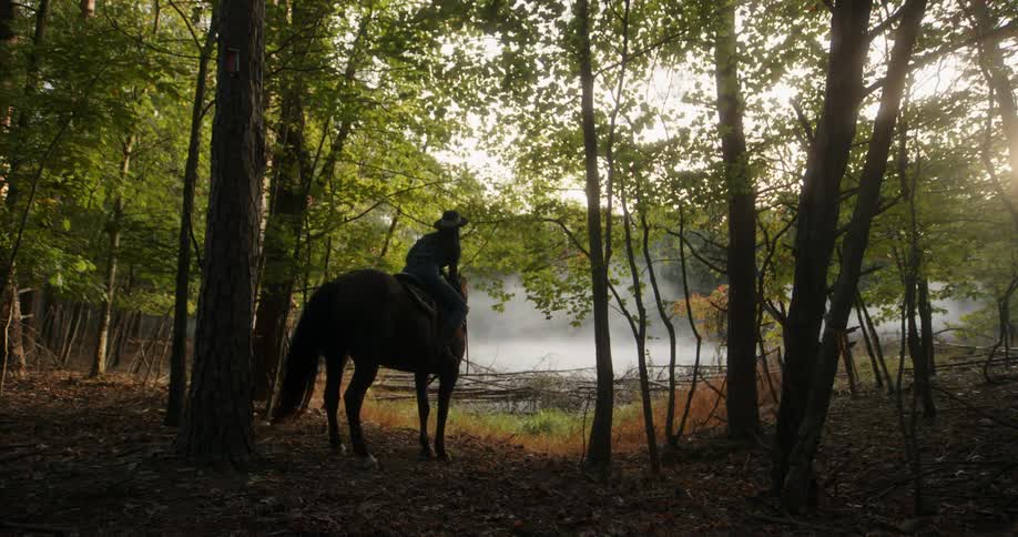 The person is riding the horse through the trees and stops to bet the horse and look at the fog that is in front of them