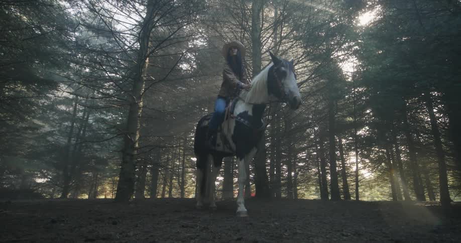 A woman is sitting on a horse in a woodland area with sun rays coming through the tree canopy