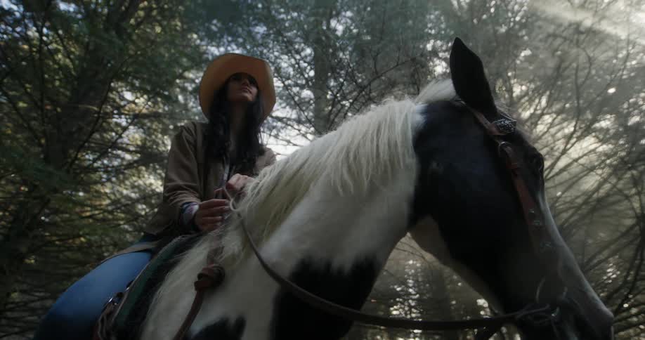 Cowgirl riding a horse in the forest