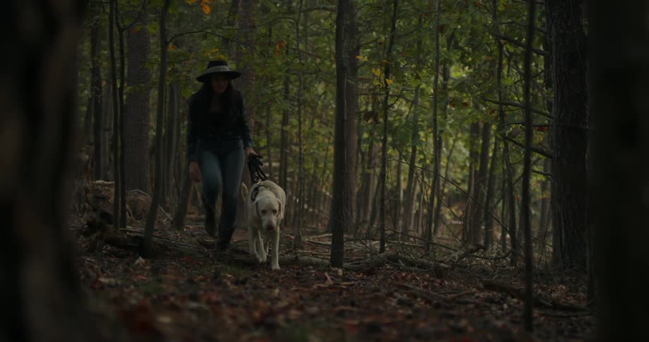 Woman walks her labrador retriever through the forest