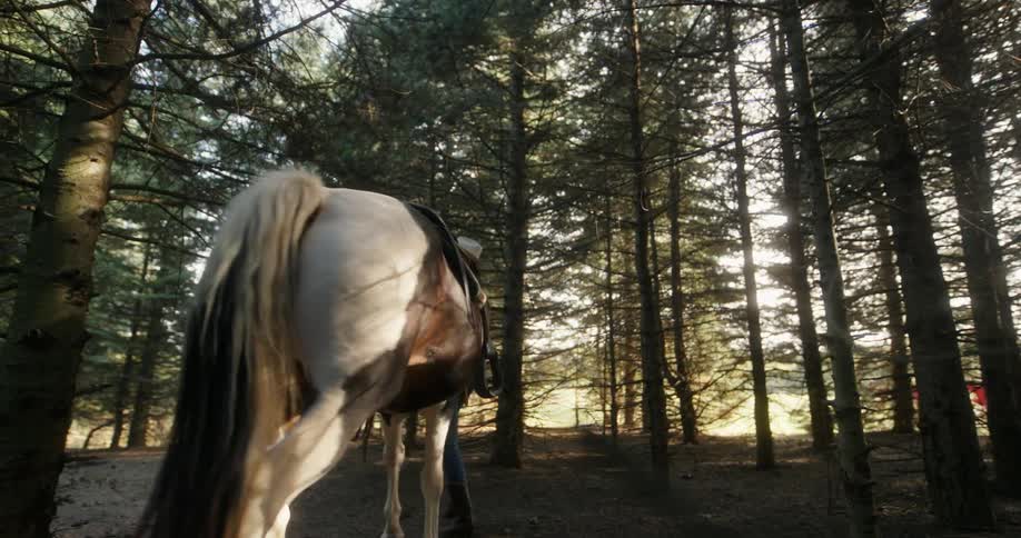 A woman leads her horse through the woods