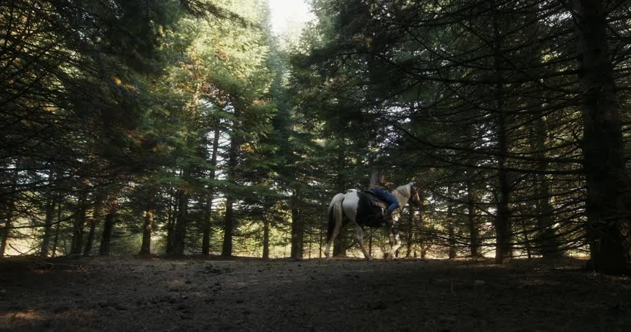 A woman on a horse riding through the forest