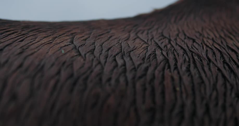Close up of grooves and patterns on carved wood