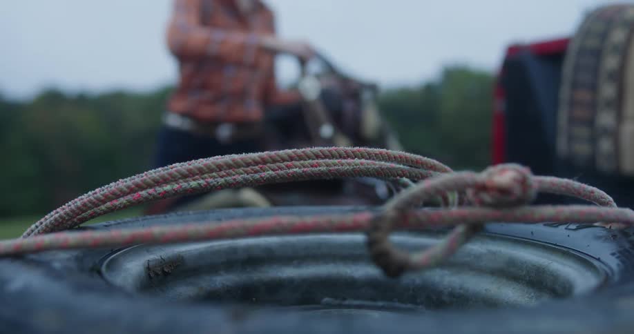 Woman puts down tailgate and picks up horse halter