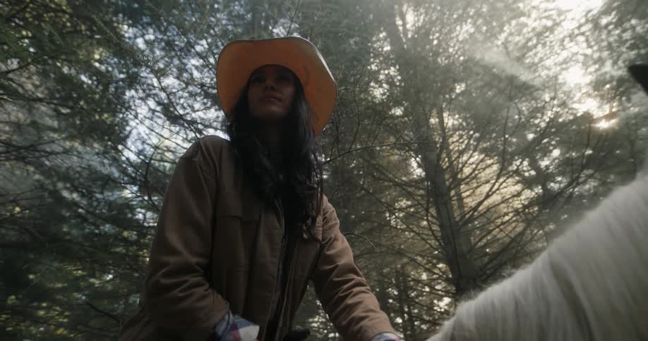 A woman on a horse observing the trees in the forest