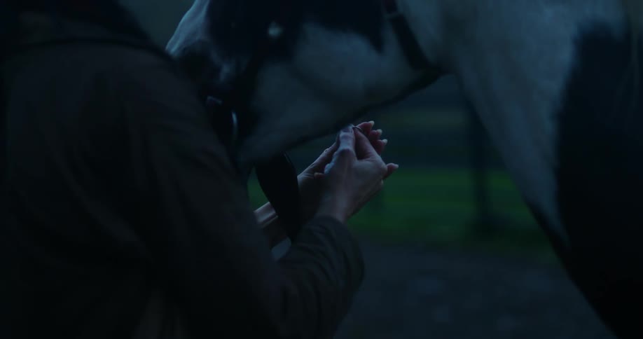 A woman standing in front of a horse holds her arms around the reigns while she wipes off a ring with her hands and places on her index finger below the horses head