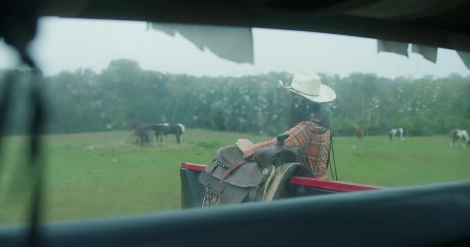 A woman adjusts a saddle hanging on the back of a truck and looks around at horses on a field