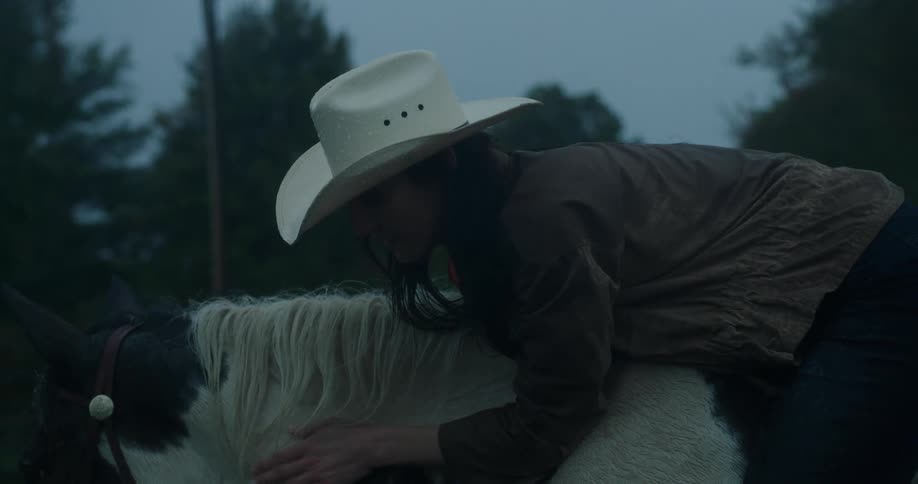 Cowgirl on top of the horse and petting it