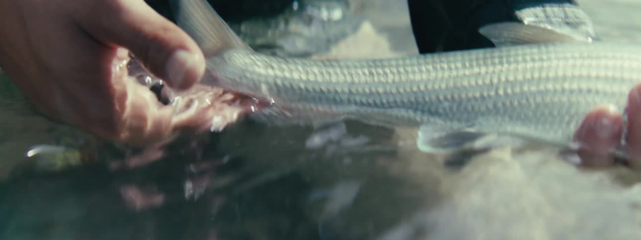 A person holding a fish out in the water