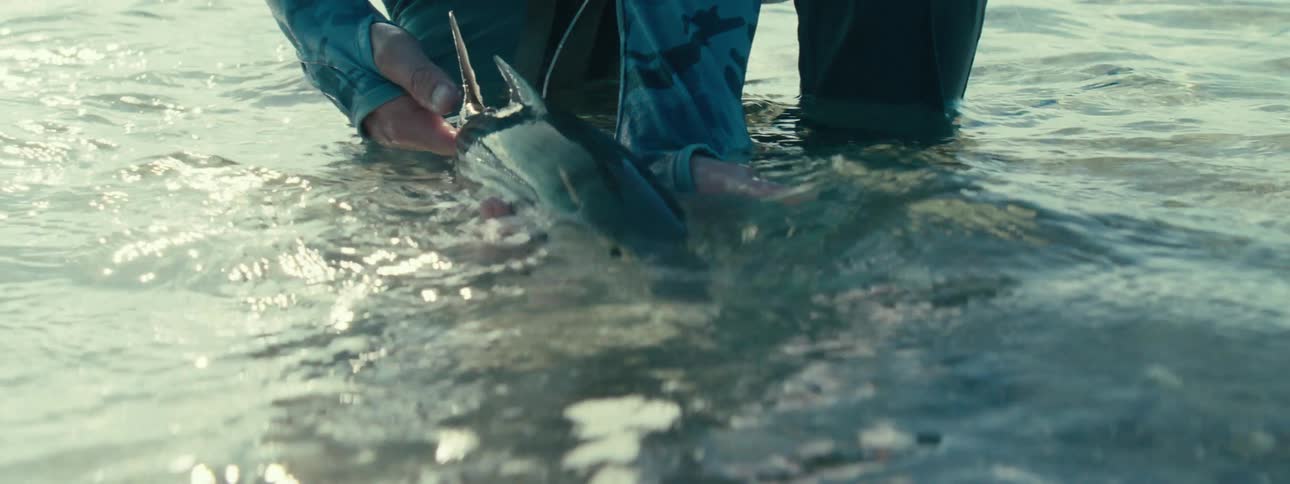 Hands of a man holding a fish at sea level