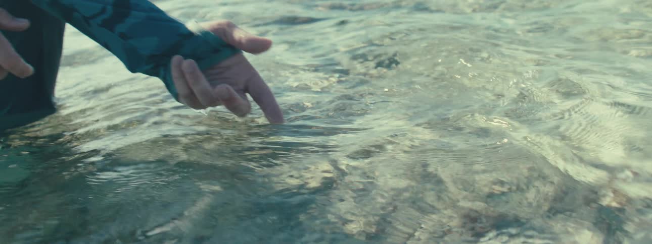 Hands of a man releasing a fish into the sea with clear waters