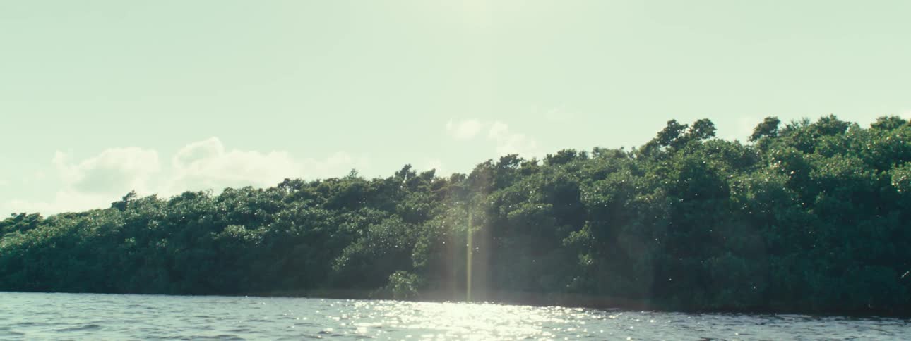 Panorama of the sea next to a forest during the day