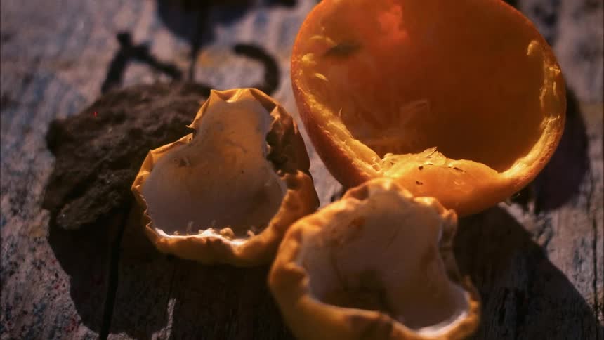 Withered fruit peels on a wooden table