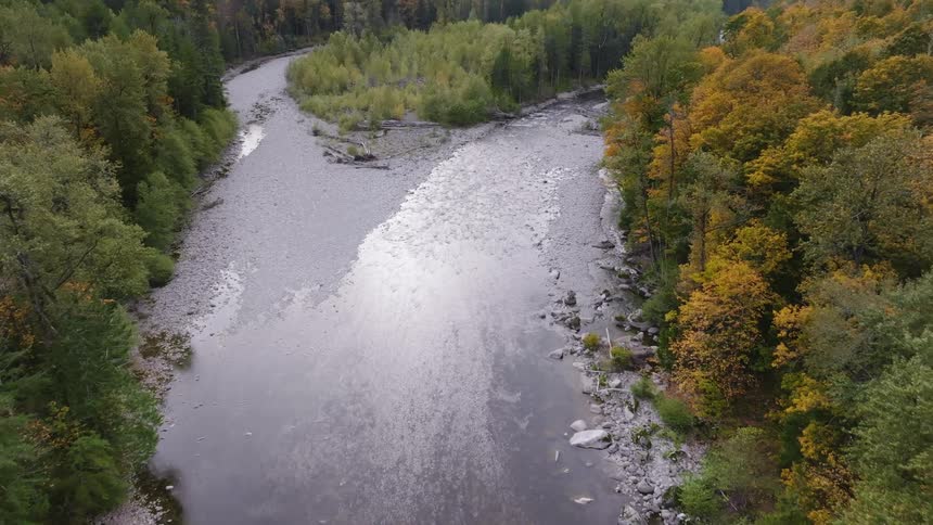 Aerial of the river surrounded by forest