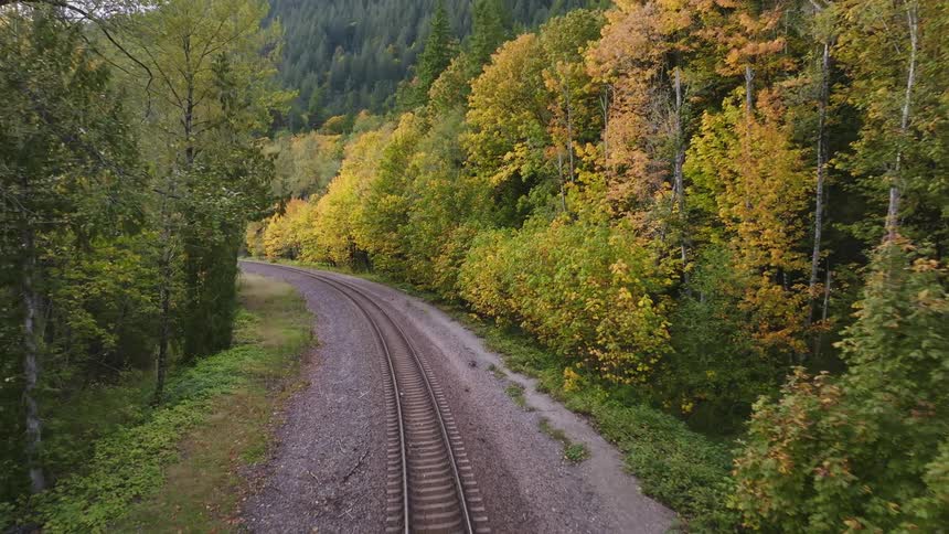 Train track crossing a forested valley full of trees with green and orange leaves