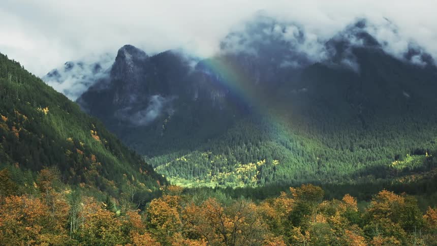 View of a forest amidst a mountain range with a beautiful rainbow arching over them