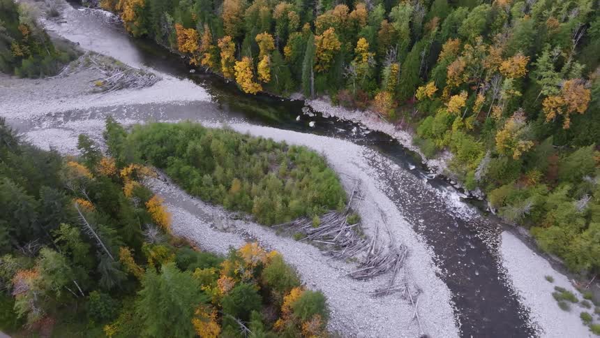 Aerial view of a river in the middle of a forest
