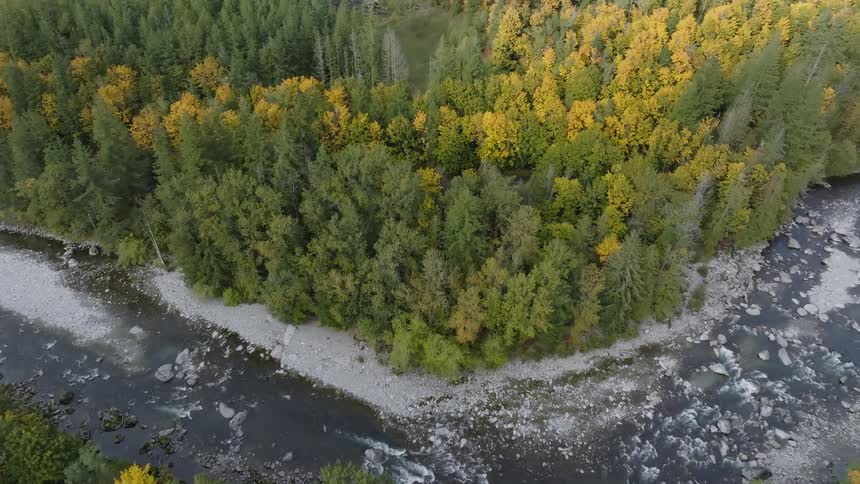 An aerial view of a river in the middle of a forest