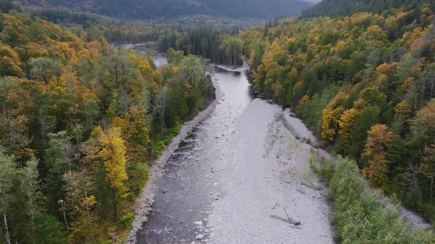 River in the middle of a forest