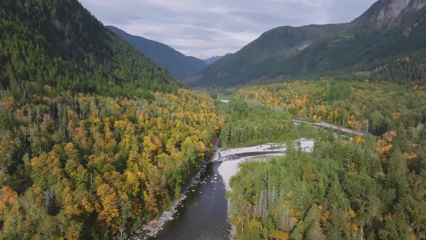 River winds through forested valley in mountain range on foggy day