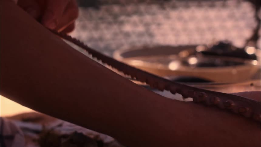 Woman examines tentacle of cephalopod sitting on table among other seafood