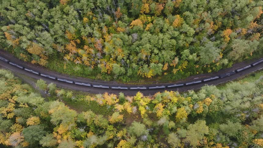 Aerial straight down perspective of a train moving along a curved track through the middle of a forest of yellow and green leaved trees during the day