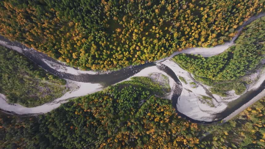 An aerial view of a river that passes through a huge forest