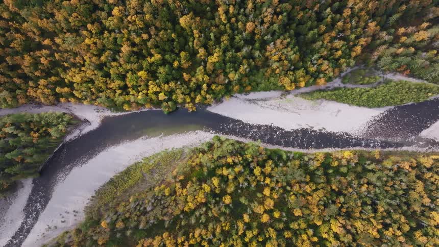 Aerial view of a river and an autumn forest