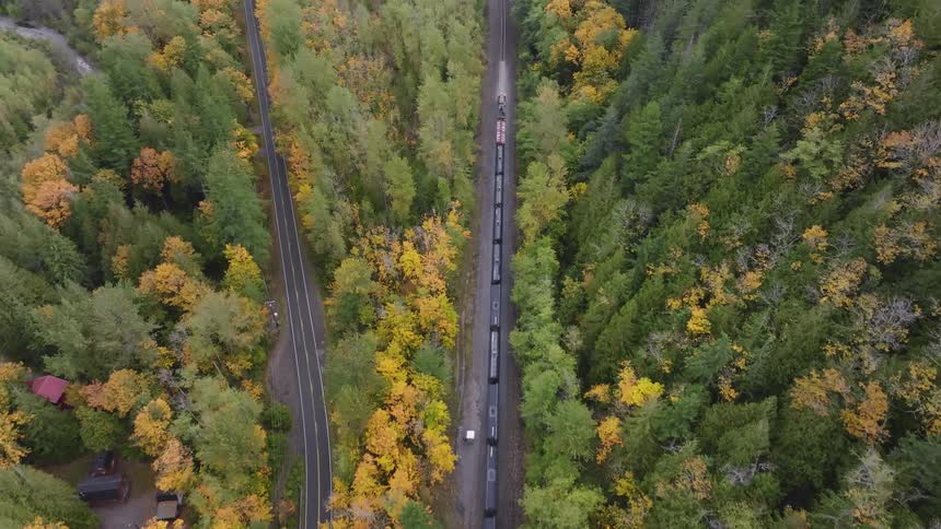 An aerial view of a train passing through a region with many trees nearby