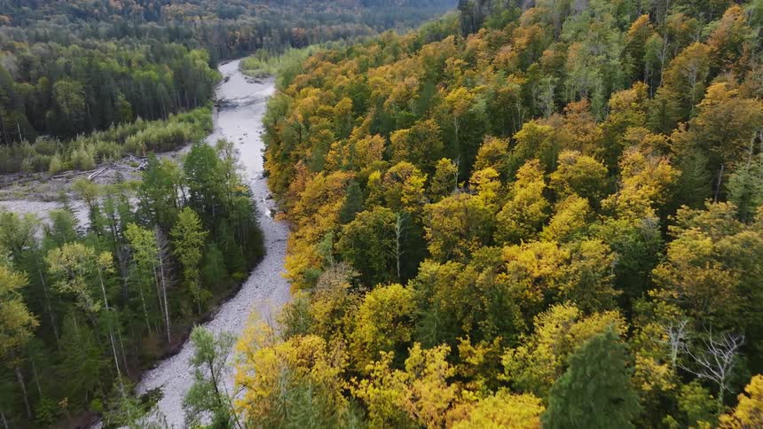 Aerial view of an autumn forest and a river