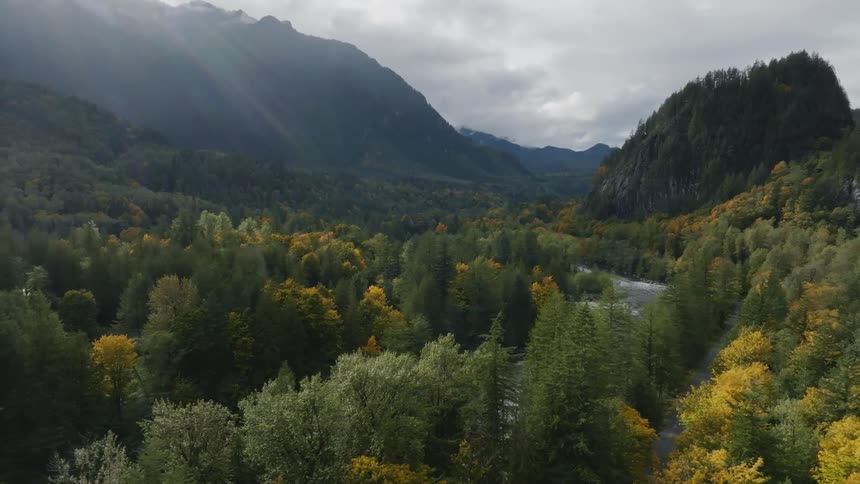 An aerial view of a forest in a valley with a river in the fall season on a cloudy day