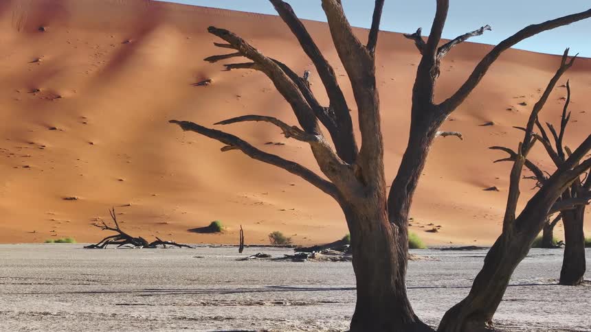 A desert region with debris and dry tree trunks and behind a mountain of sand