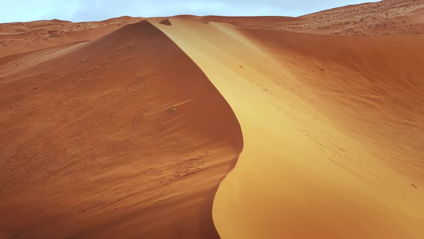 Aerial of the sahara desert during the day