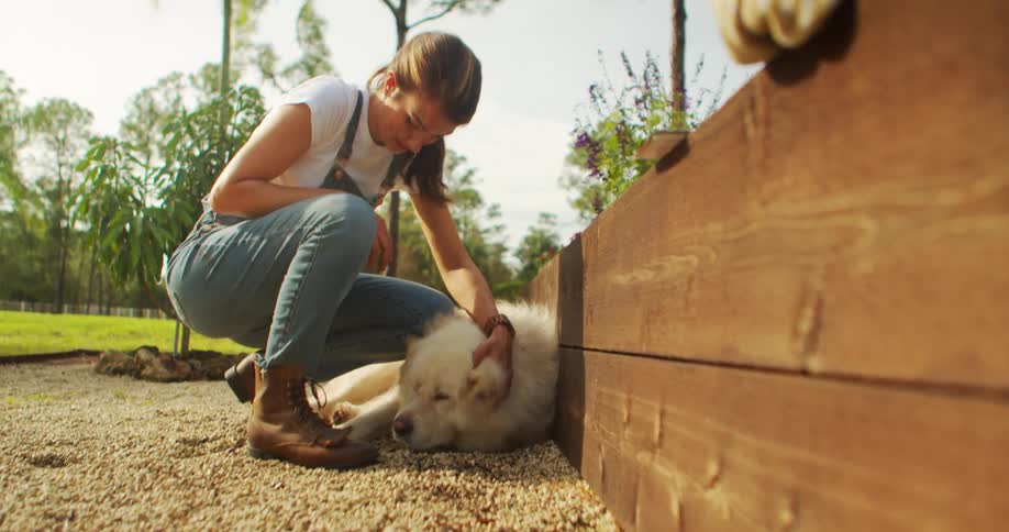 A woman crouches down to pet her dog