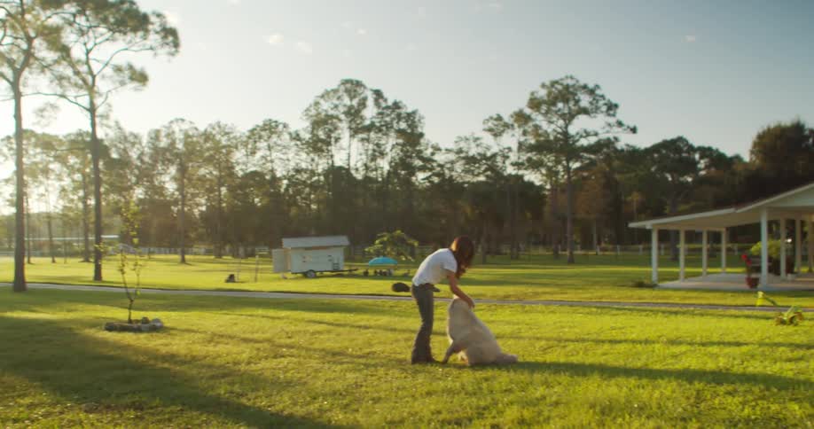 Woman having fun with her dog on the ranch grass treating him on a lovely sunny day