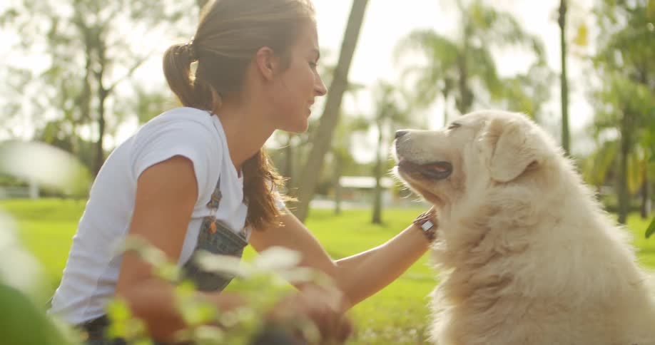 A woman with brown hair wearing a white tshirt a denim jumpsuit enjoys petting and playing with a white dog on the green lawn as the sun shines brightly