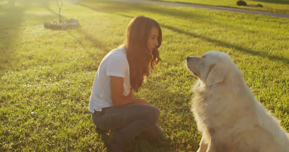 A woman with brown hair wearing a white tshirt and jeans enjoys petting and playing with a white dog on the green lawn as the sun shines brightly