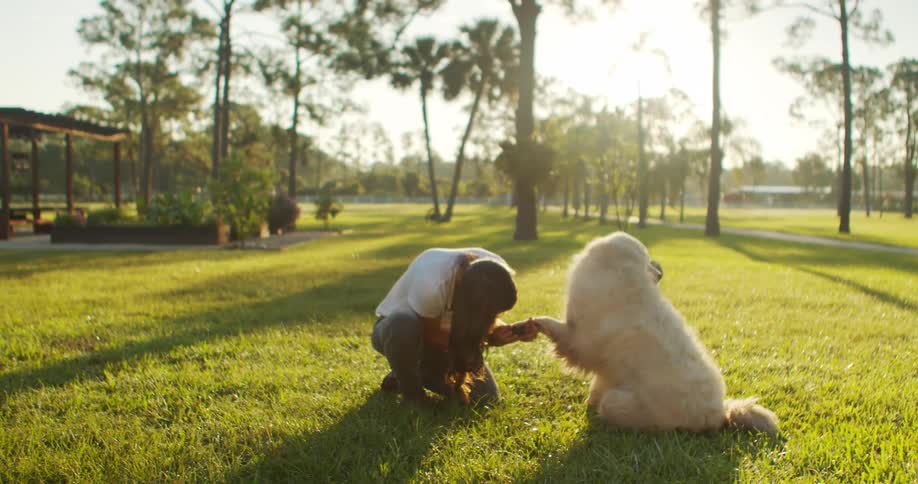 Woman checks the paws of her dog in the park at morning