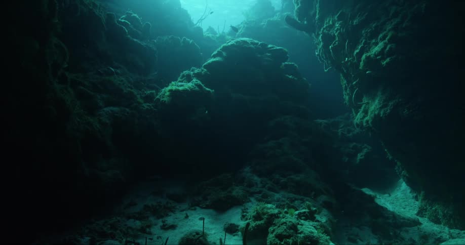 A fish swims in the underwater cave