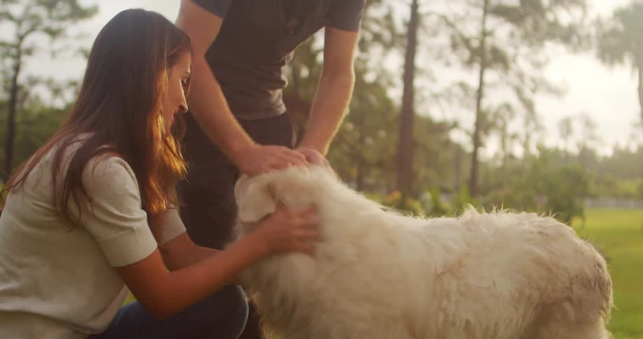 A man and woman pet their dog